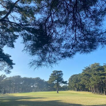 timeline_20220217_123723